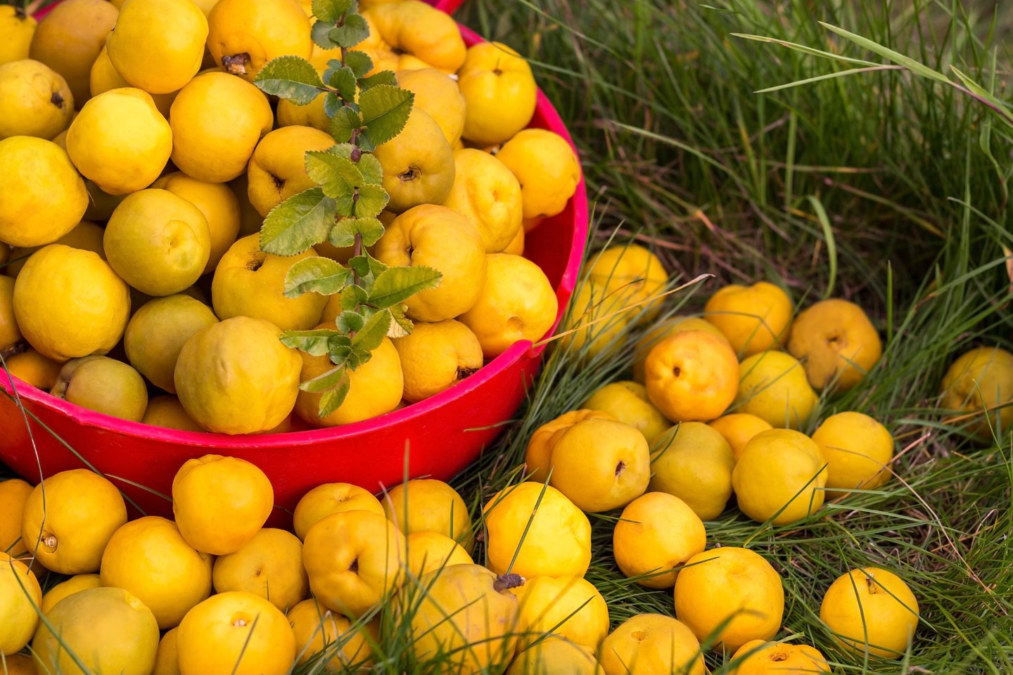 064332588-271470e7-7ef8-4be8-b1df-5d3ef398ba97