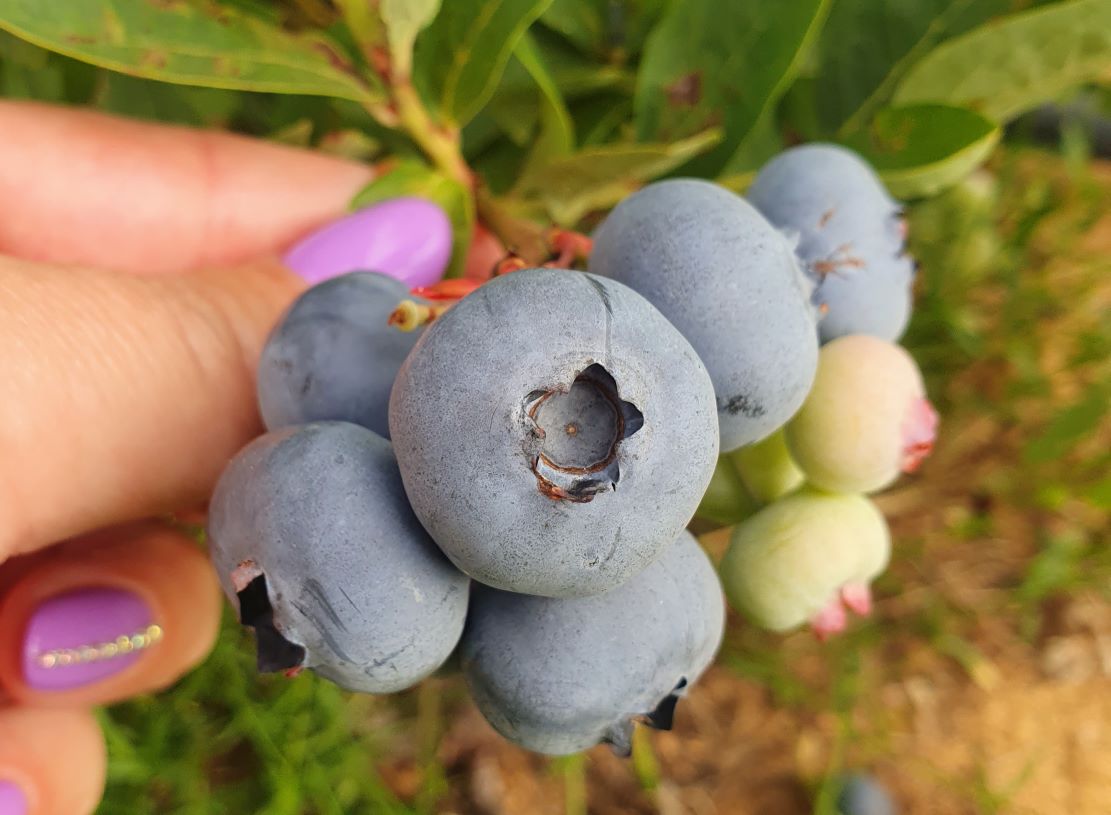 20240720_081743 mažintas