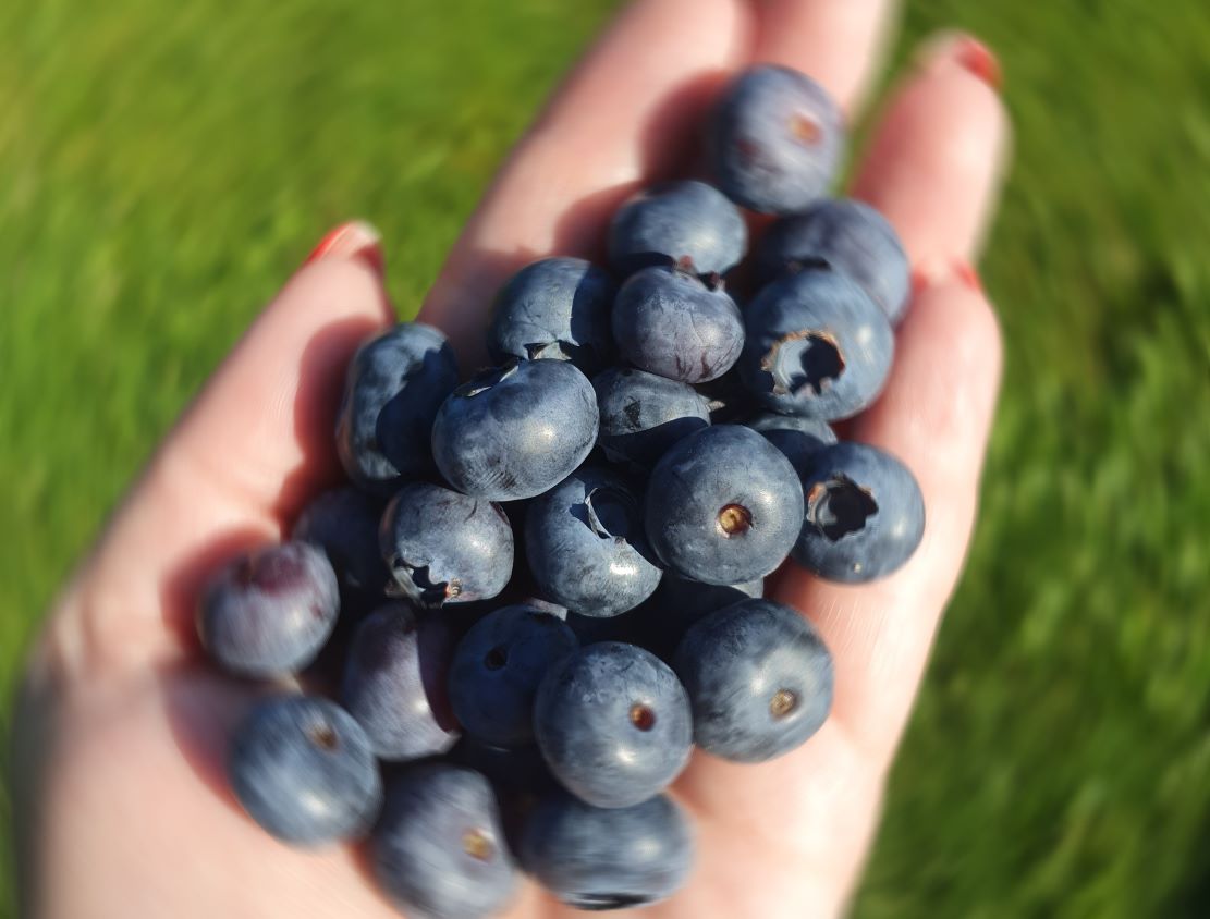 20240706_091541 mažintas