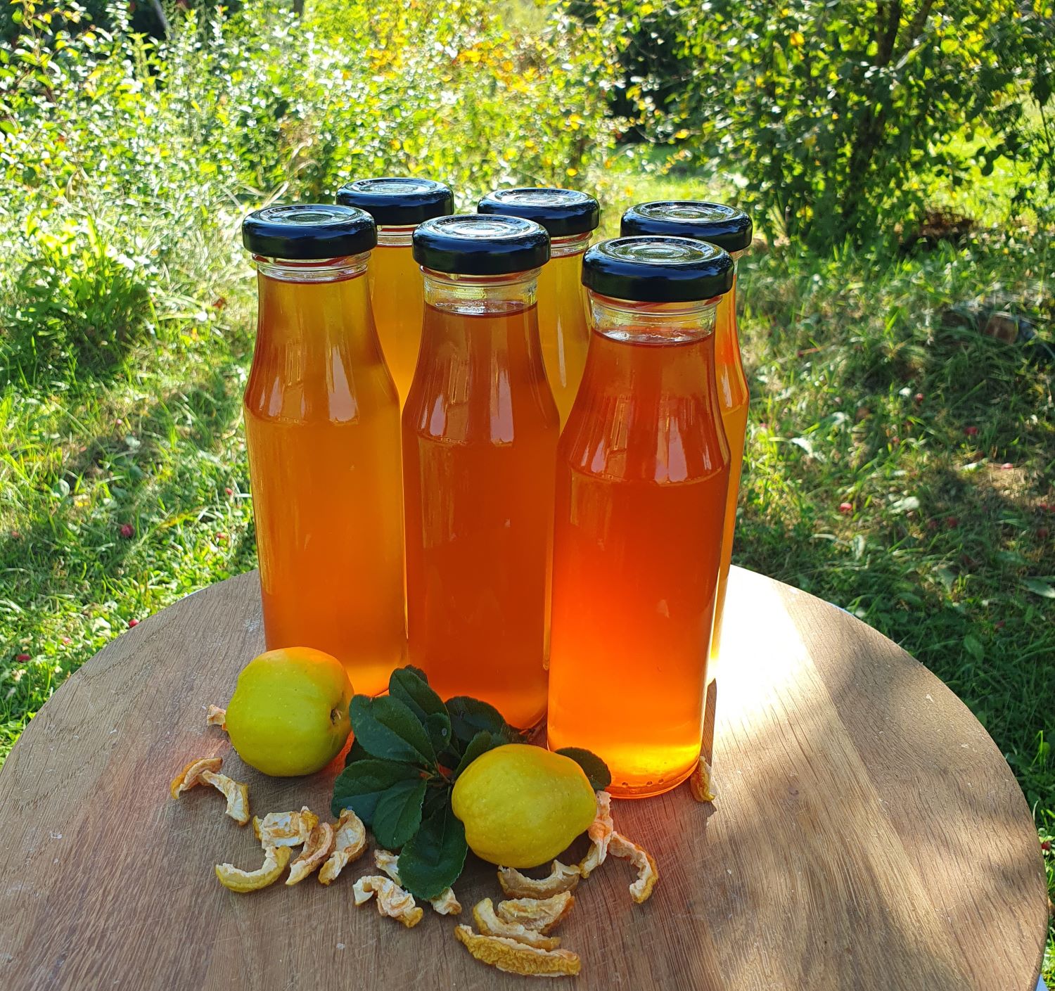Svarainių sirupas 225ml